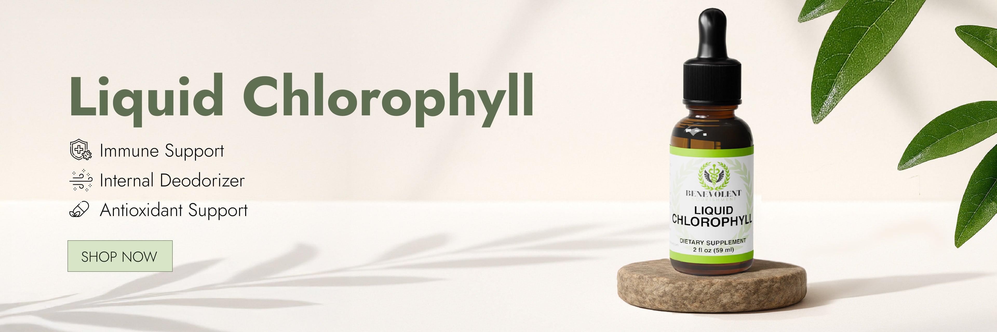 Bottle of liquid chlorophyll with green leaves on a light background