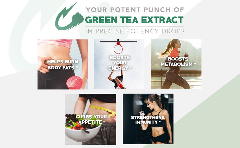 About Liquid Green Tea Extract Drops (2 oz)