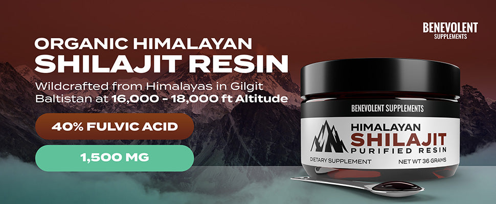 About Himalayan Shilajit Purified Resin (50 g)