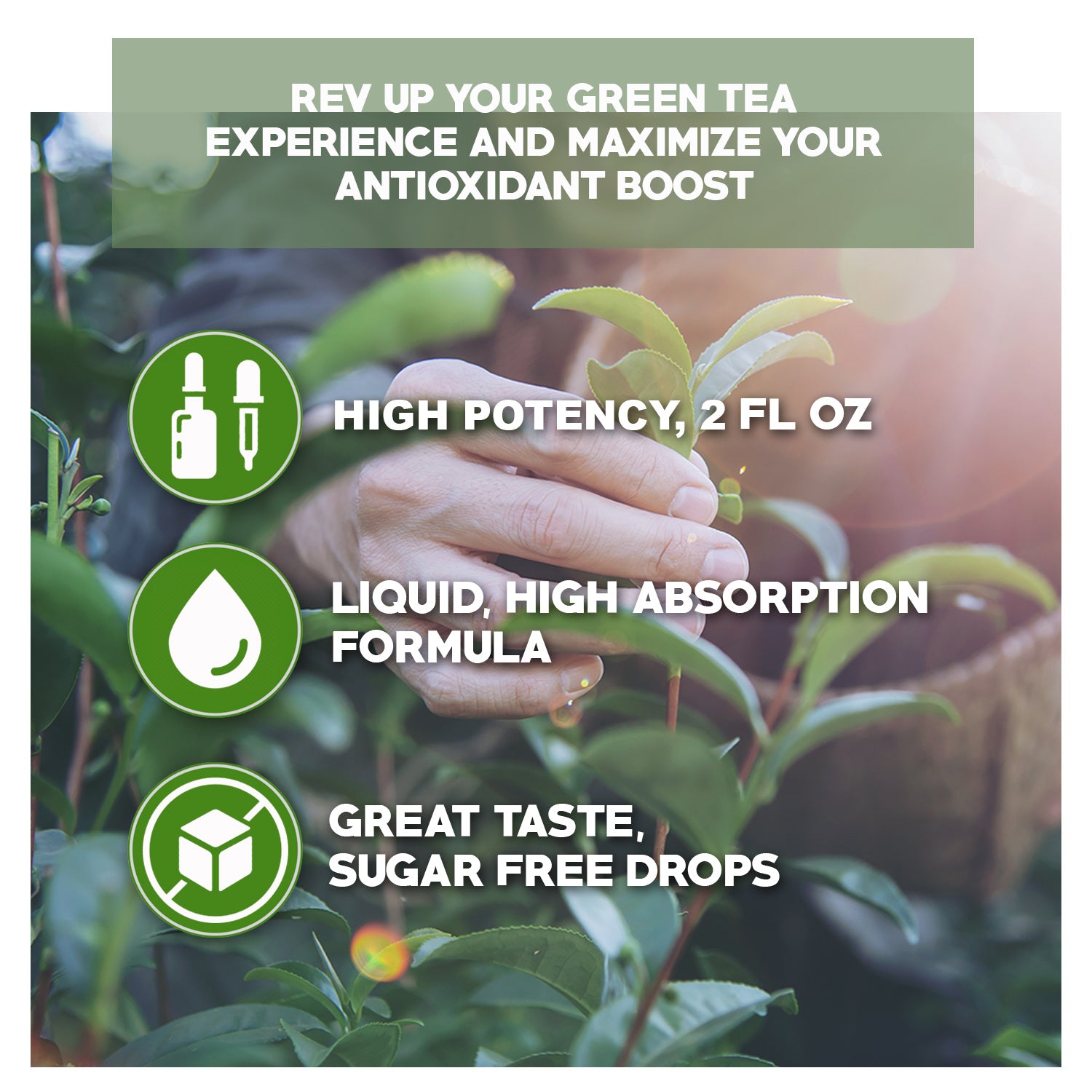Maximize antioxidant boost