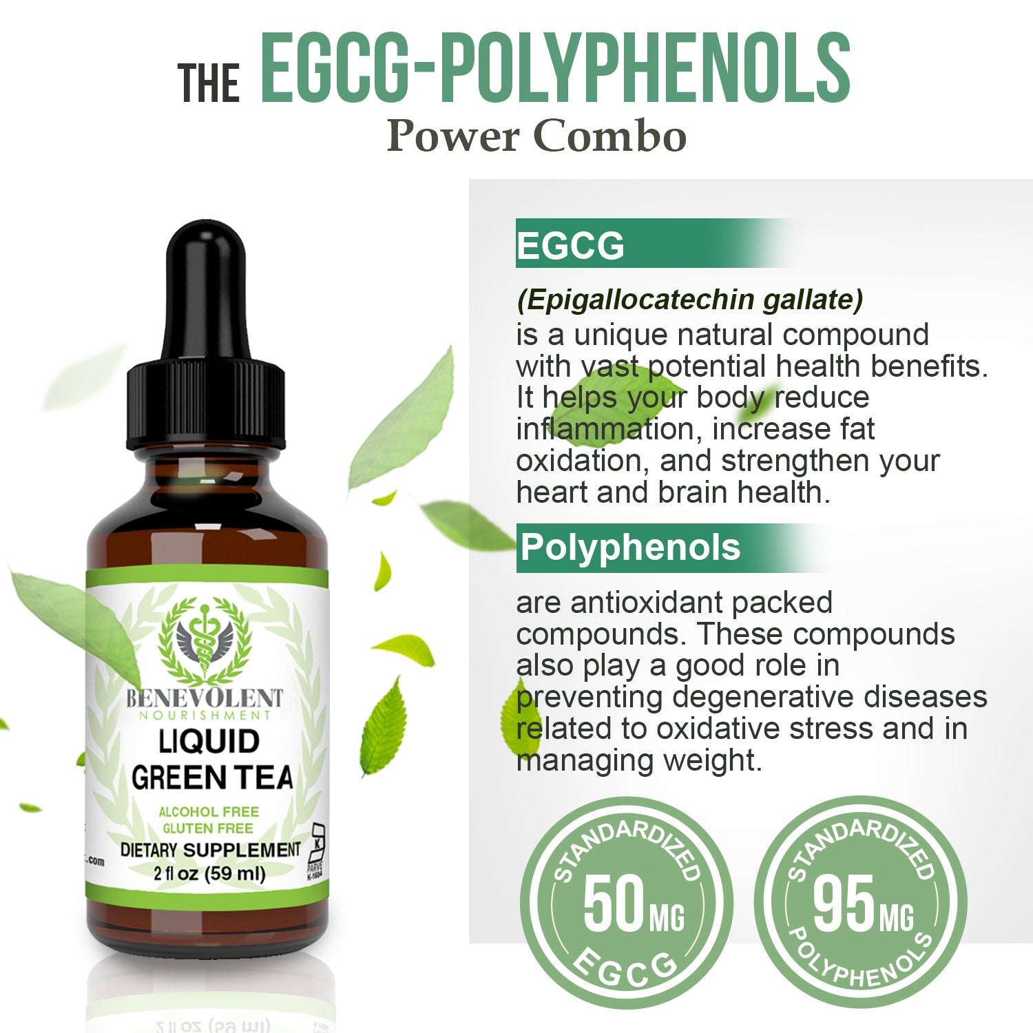 The EGCG Polyphenols power combo