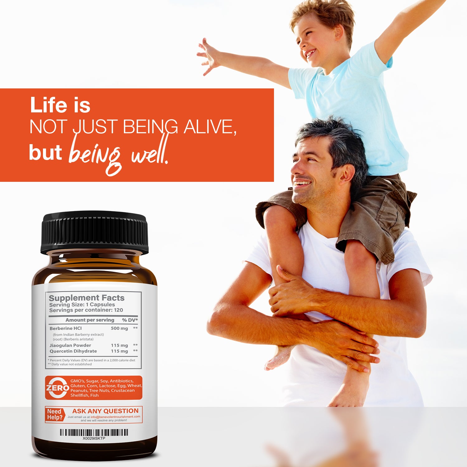 Berberine HCL life is being well