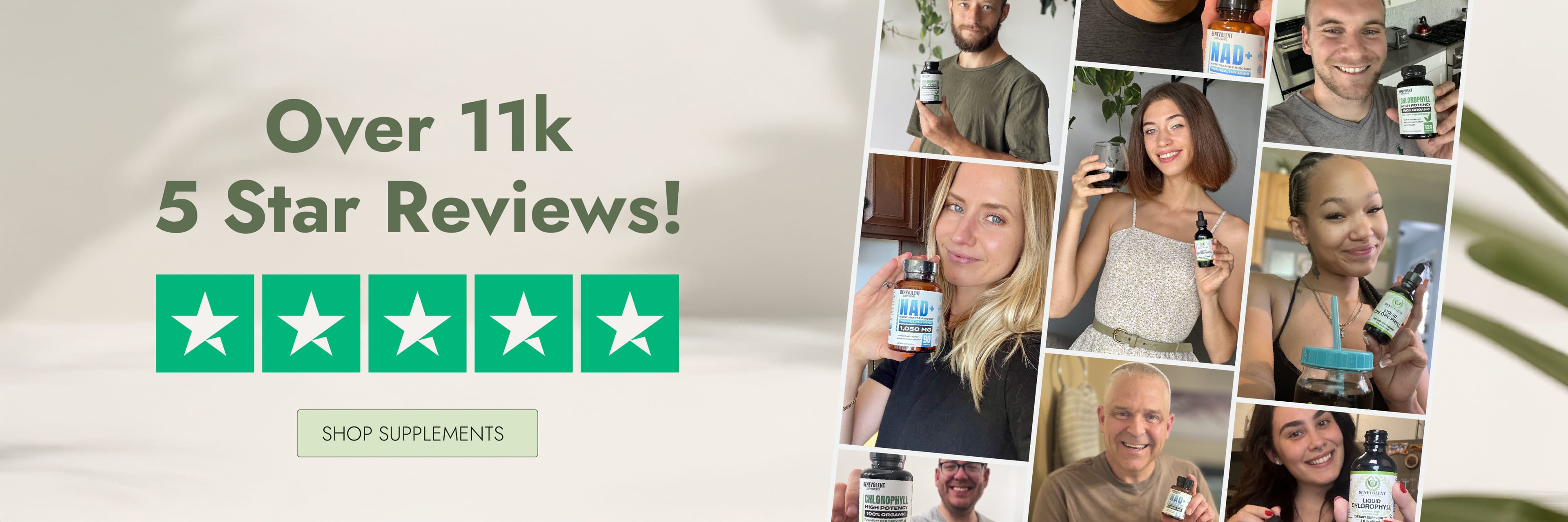 11K 5-star reviews