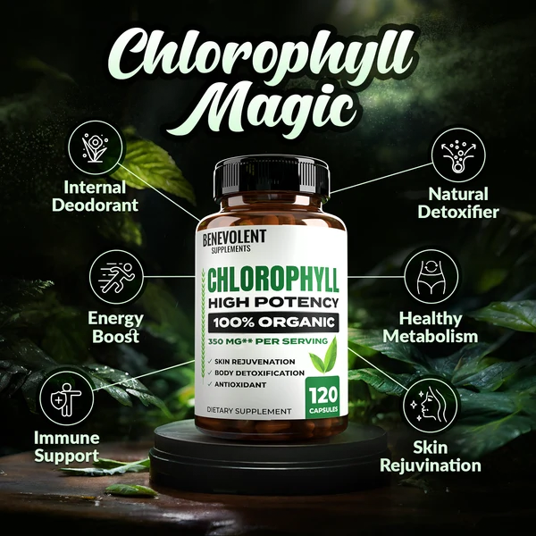 Organic Chlorophyll 350 mg (120 Veggie Caps)