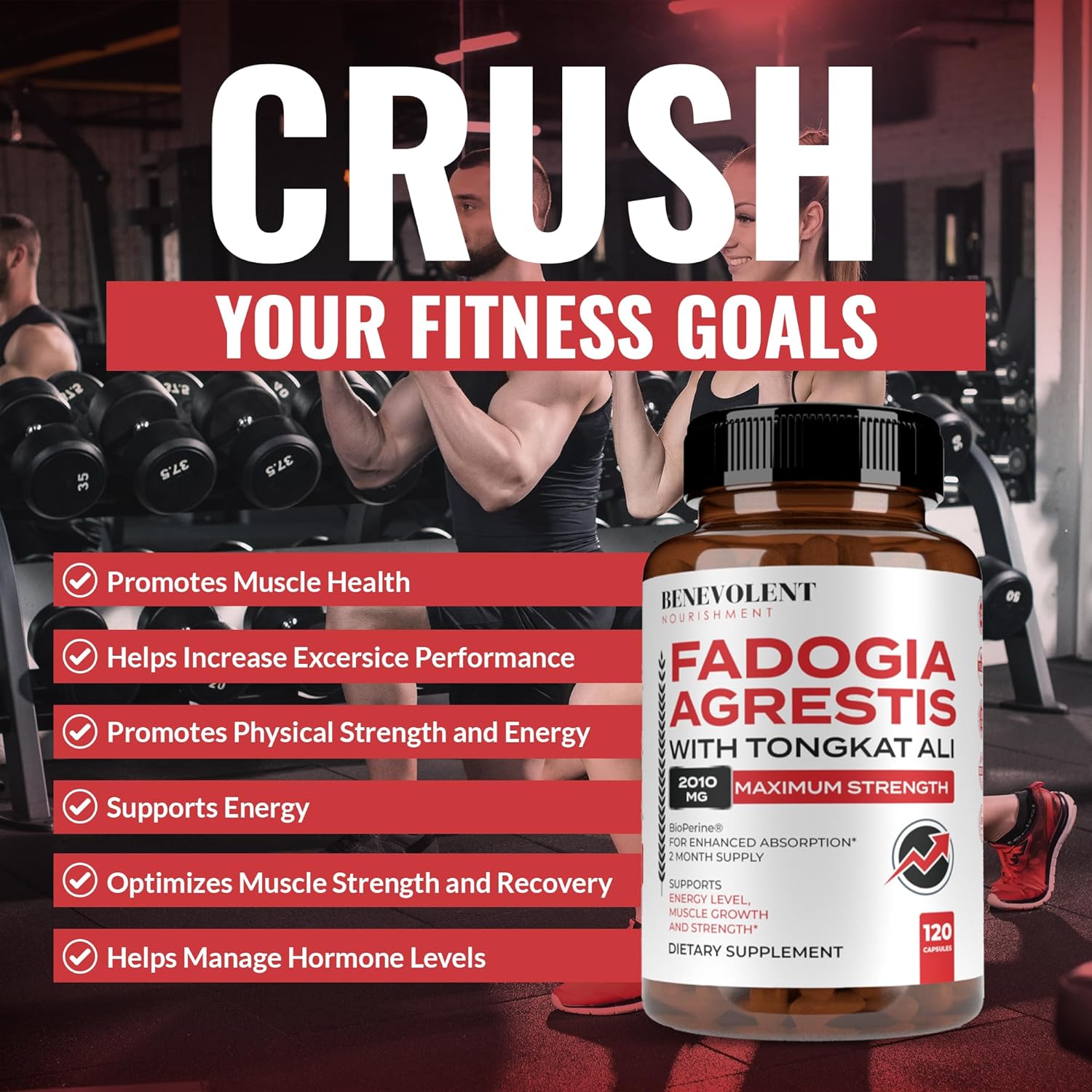 Tongkat & Fadogia Supplement - Vitality & Energy Booster – Momentous