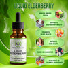 Sambucus Elderberry Syrup with Vitamin C